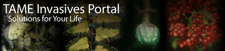 TAME Invasive Plants Portal